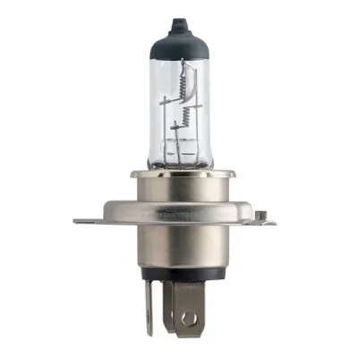 Philips Masterduty H4 70W 24V - 1 stk.